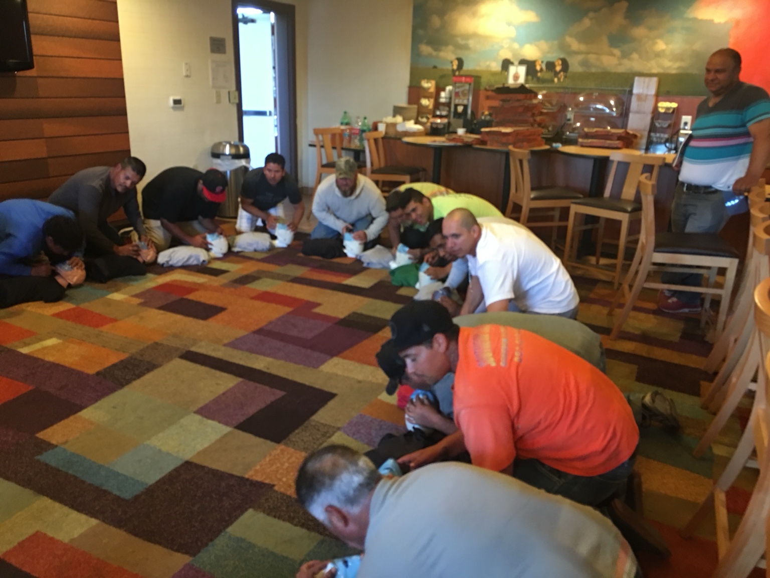 A group practicing CPR skills together on manikins
